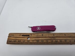 Swiss Army 0.6223.52G Classic SD with Tasty Grape Scales by Victorinox