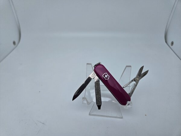 Swiss Army 0.6223.52G Classic SD with Tasty Grape Scales by Victorinox