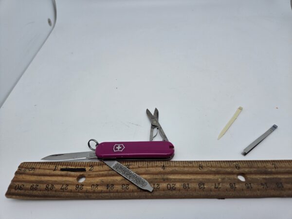 Swiss Army 0.6223.52G Classic SD with Tasty Grape Scales by Victorinox