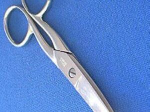 Wasa 111-1/8 6 IN Curved Blade Scissors