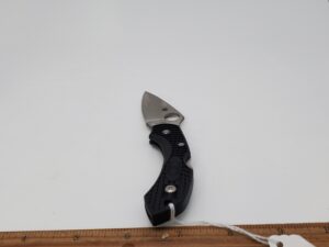 Spyderco Dragonfly SC28BK2 Plain