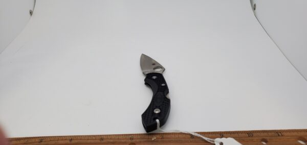 Spyderco Dragonfly SC28BK2 Plain