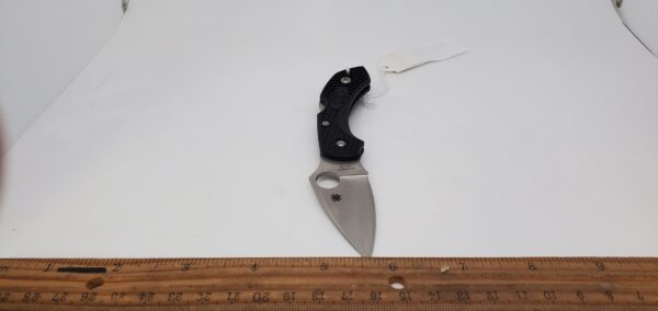 Spyderco Dragonfly SC28BK2 Plain