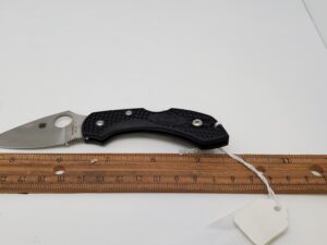 Spyderco Dragonfly SC28BK2 with a plain edge