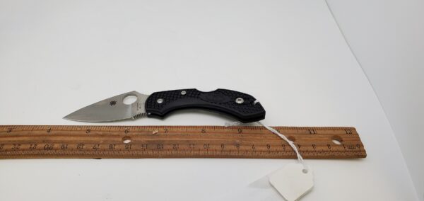 Spyderco Dragonfly SC28BK2 with a plain edge