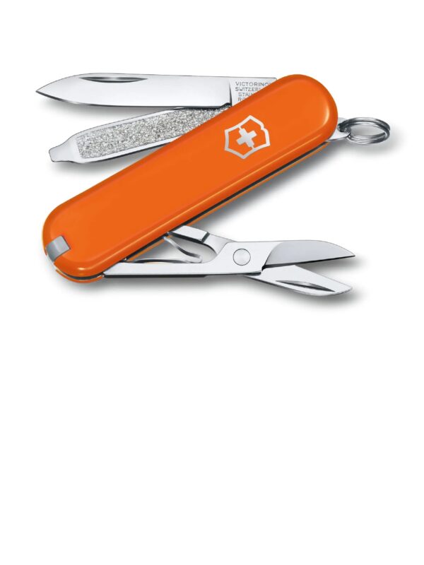 Swiss Army 0.6223.83G Classic SD Pocket Knife with Mango Tango Scales by Victorinox