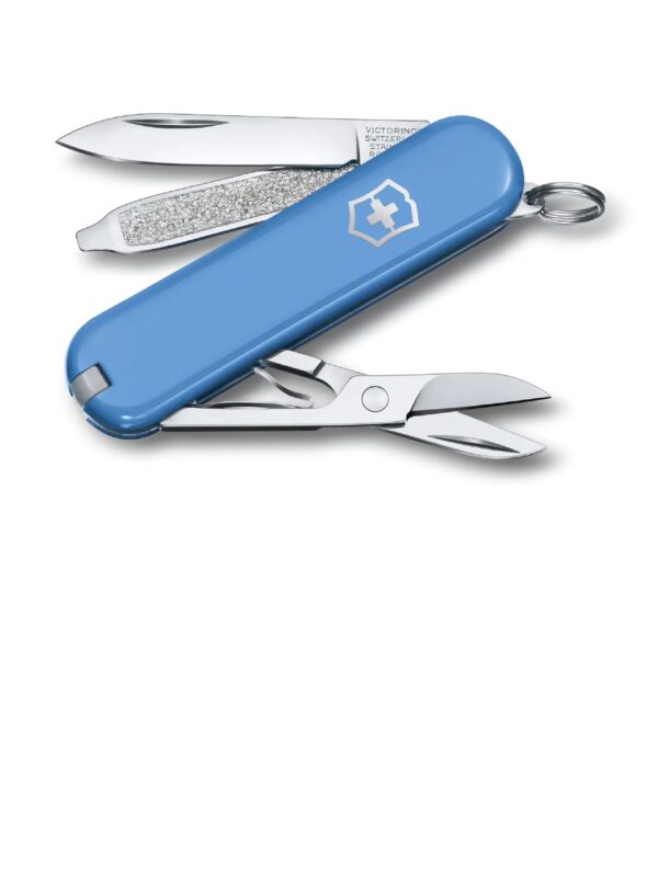 Swiss Army 0.6223.28G Classic SD Pocketknife with Summer Rain Scales by Victorinox