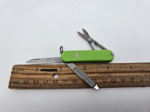 Swiss Army 0.6223.42G Classic SD Pocketknife with Smashed Avocado Scales by Victorinox