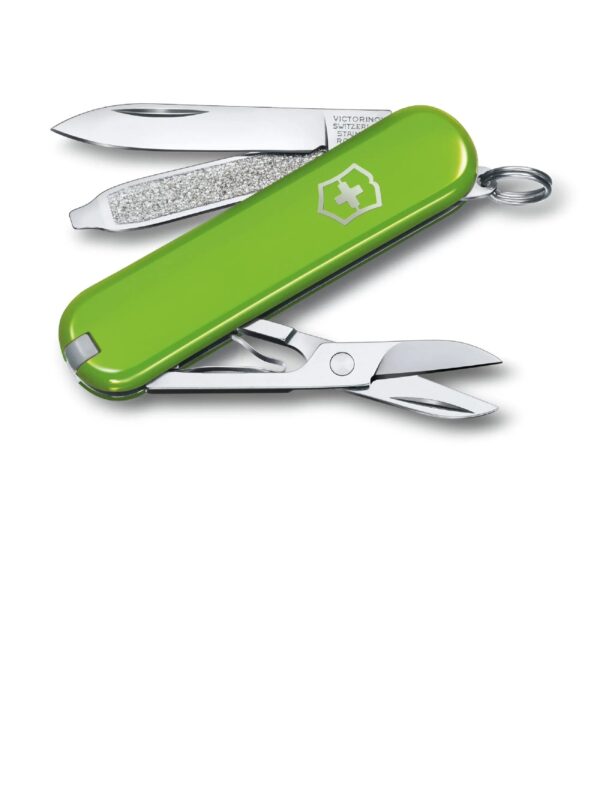 Swiss Army 0.6223.42G Classic SD Pocketknife with Smashed Avocado Scales by Victorinox